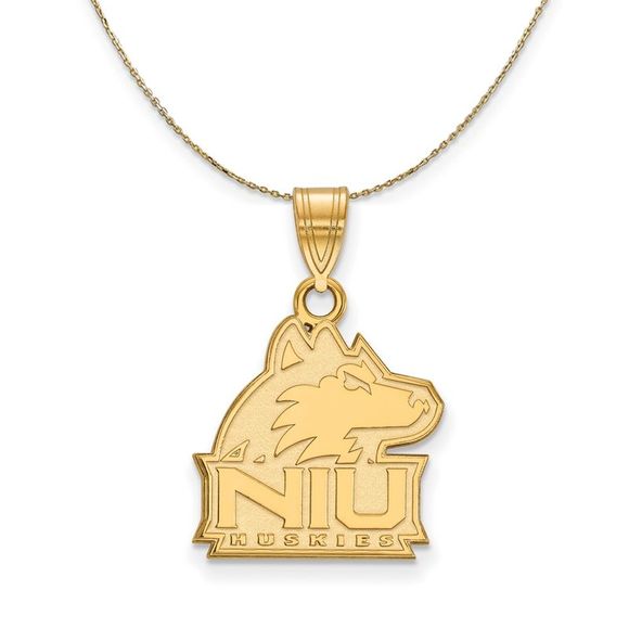 14k Yellow Gold Northern Illinois U. Medium Necklace - 22 Inch